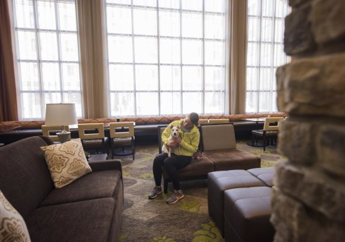Take Your Furry Friend Out for a Night on the Town in Eau Claire, Wisconsin